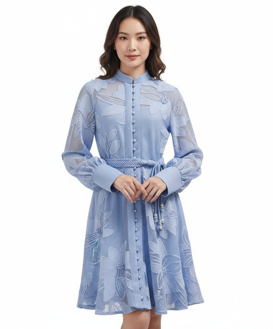 Chanty Mesh Applique Buttoned Embroidered Dress