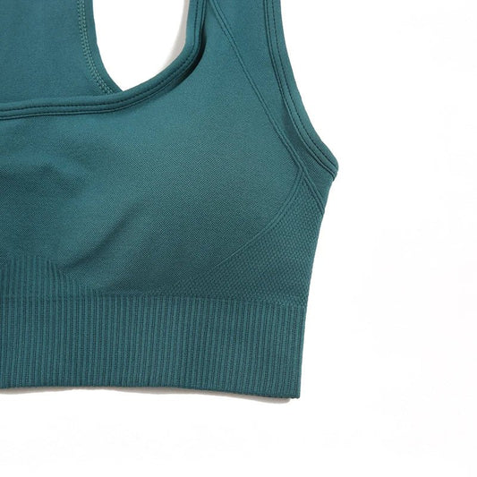 Seamless Women 2 Pcs Sportswear - Leggings + Padded Sports Bra - itzy bitsy