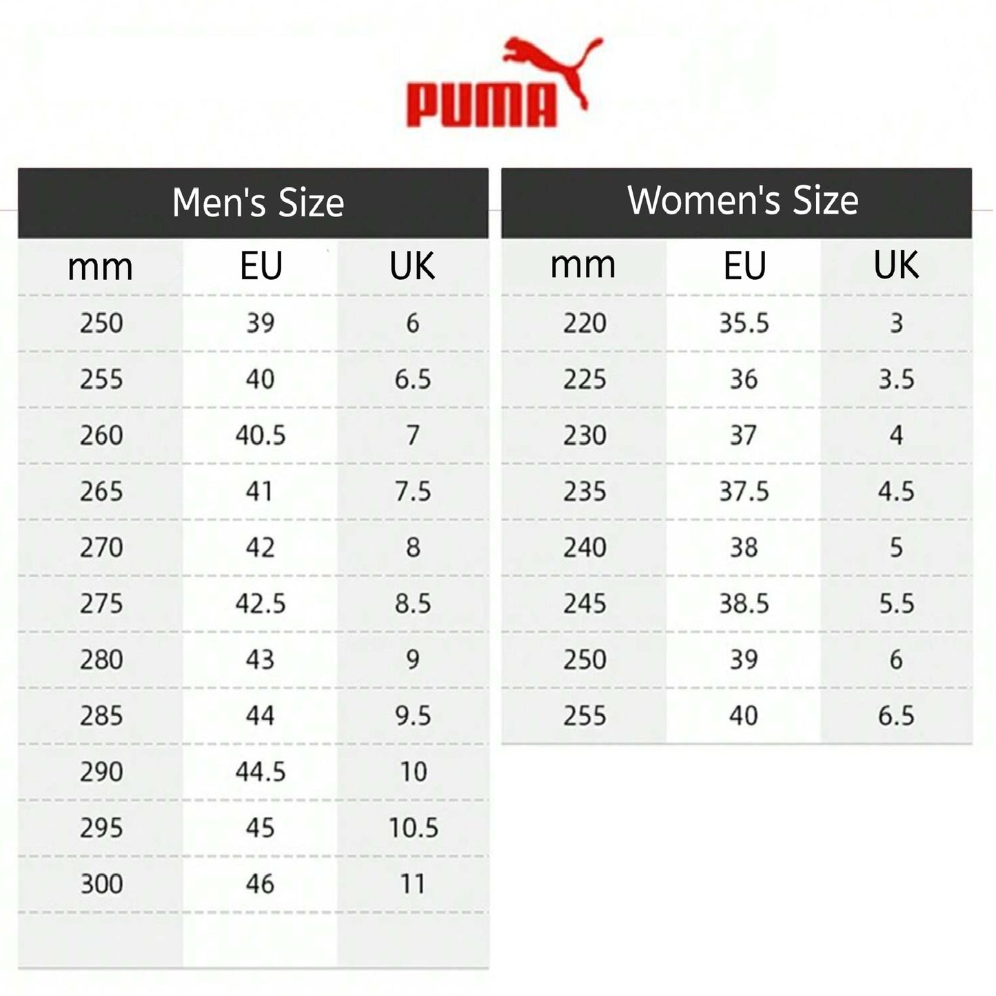 PUMA Unisex Park Lifestyle SD Trainers - Whit Green