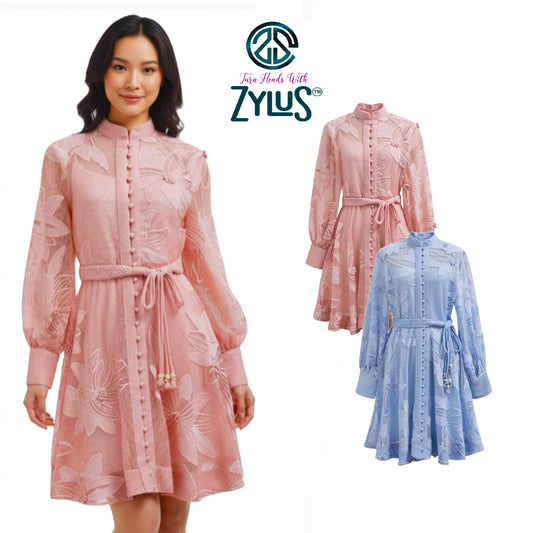 Chanty Mesh Applique Buttoned Embroidered Dress