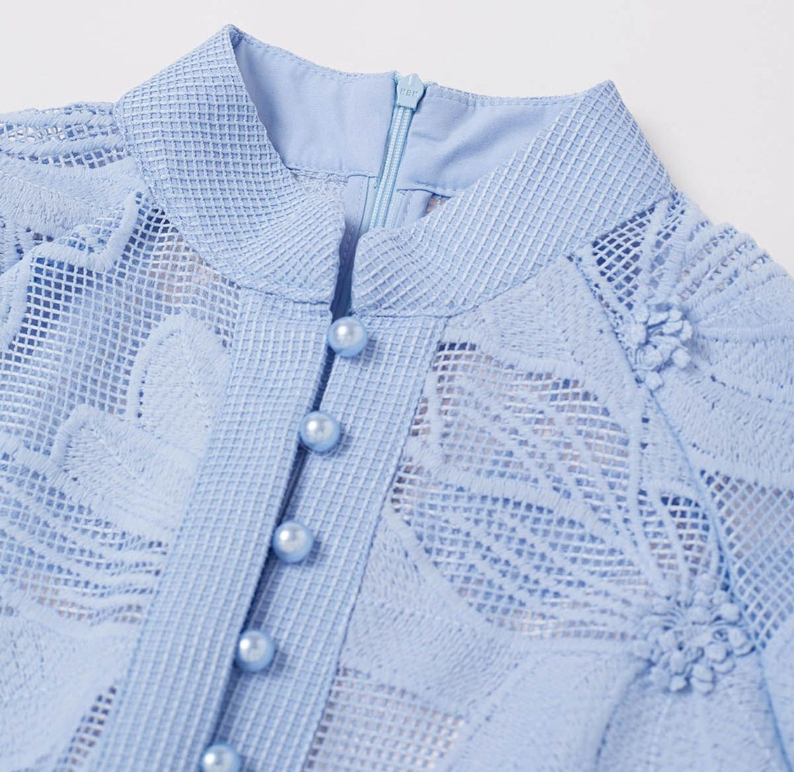 Chanty Mesh Applique Buttoned Embroidered Dress