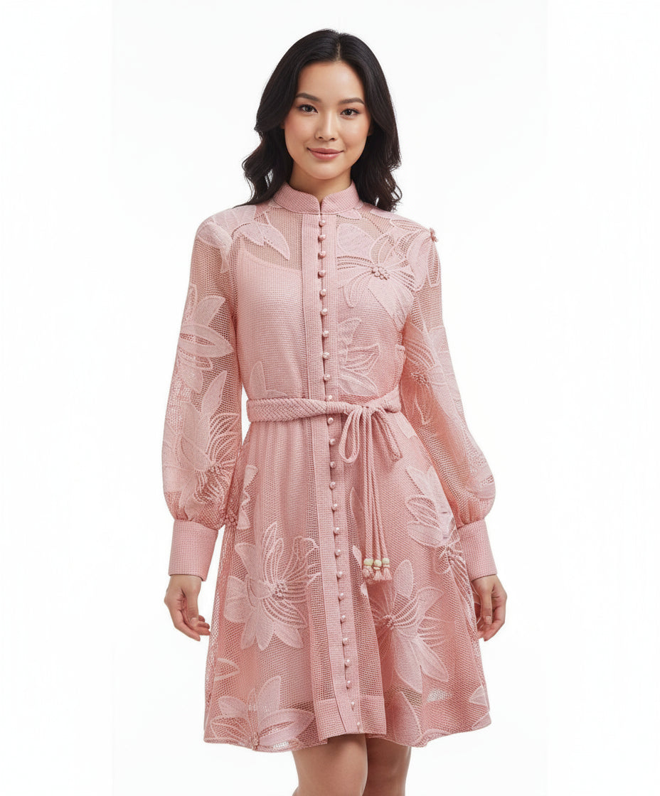 Chanty Mesh Applique Buttoned Embroidered Dress