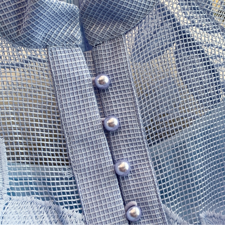 Chanty Mesh Applique Buttoned Embroidered Dress