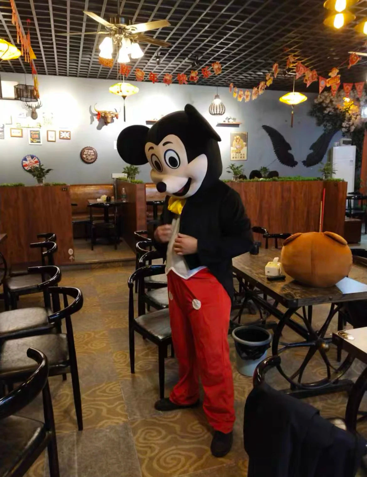 Cartoon Characters Adult Mascot / Costume