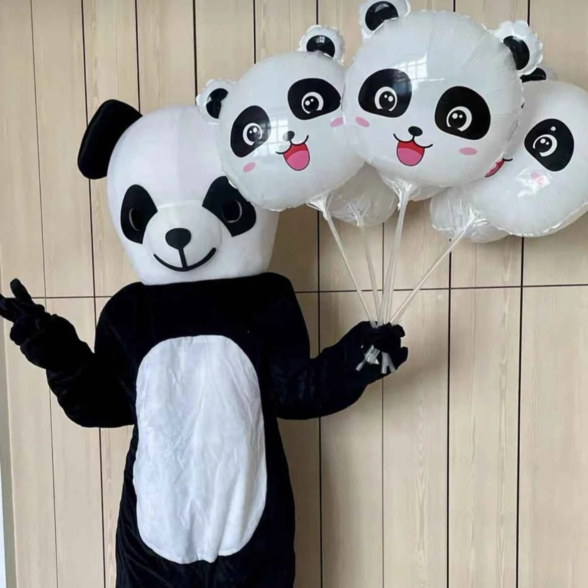 Cartoon Characters Adult Mascot / Costume