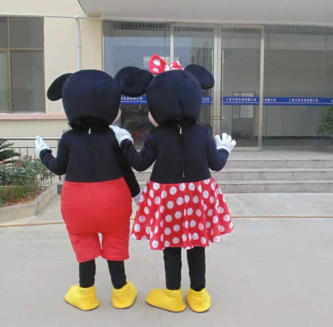 Cartoon Characters Adult Mascot / Costume