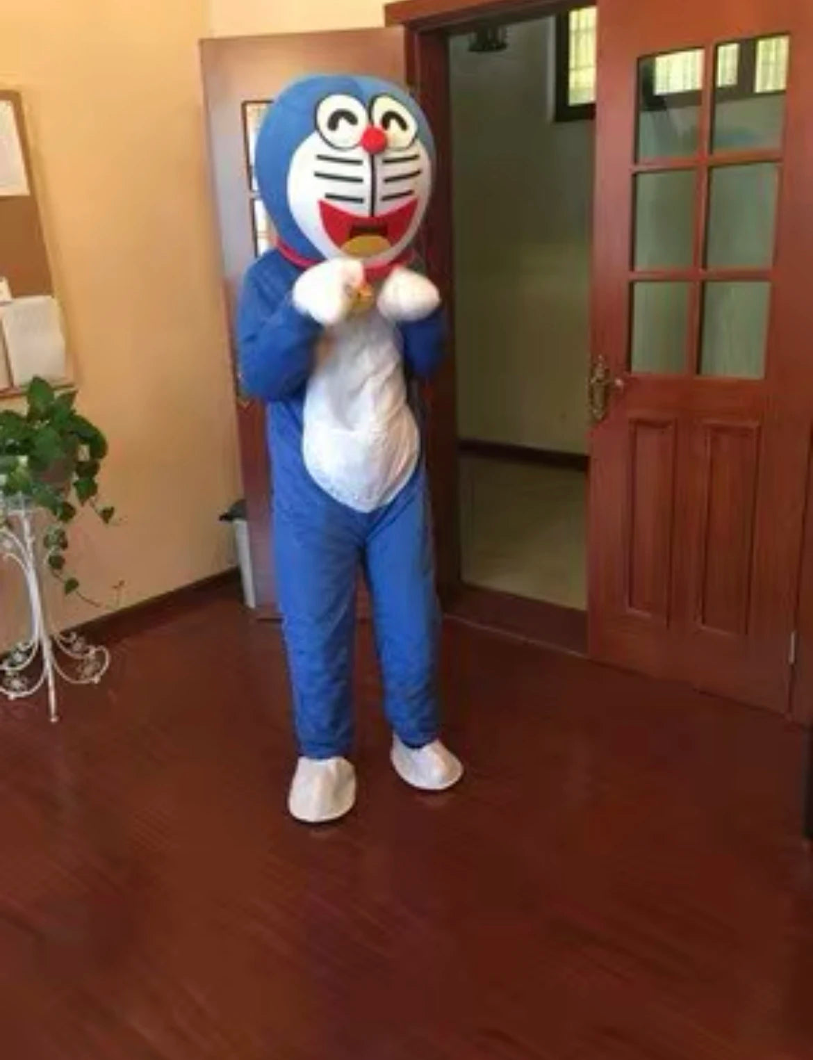 Cartoon Characters Adult Mascot / Costume