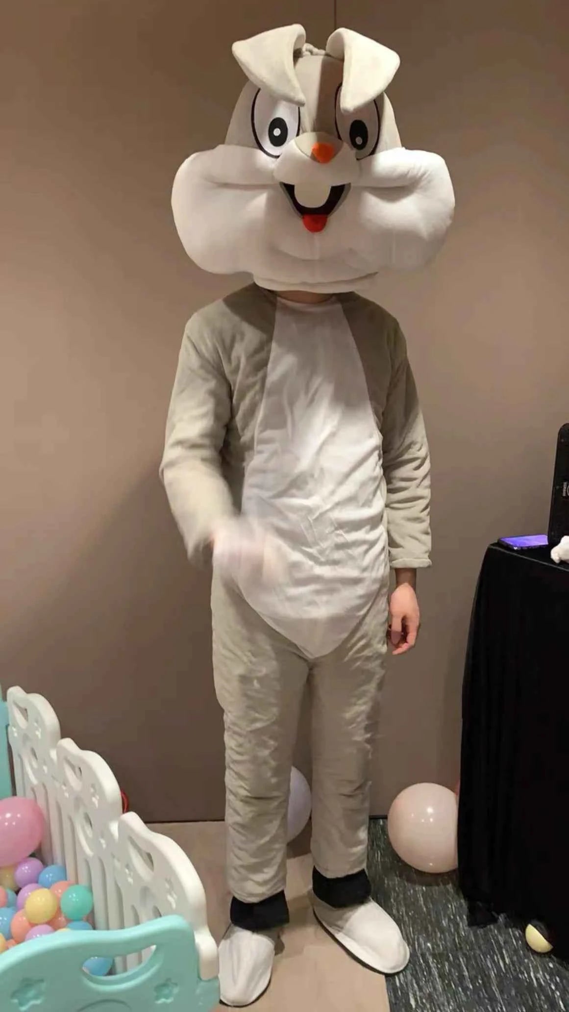 Cartoon Characters Adult Mascot / Costume
