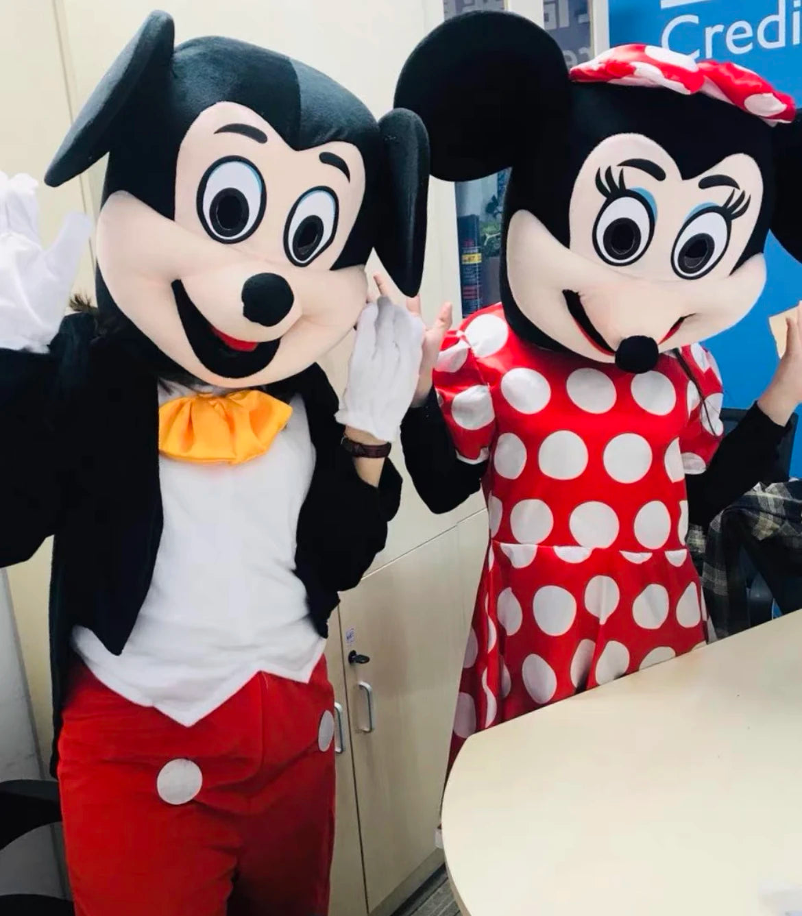 Cartoon Characters Adult Mascot / Costume