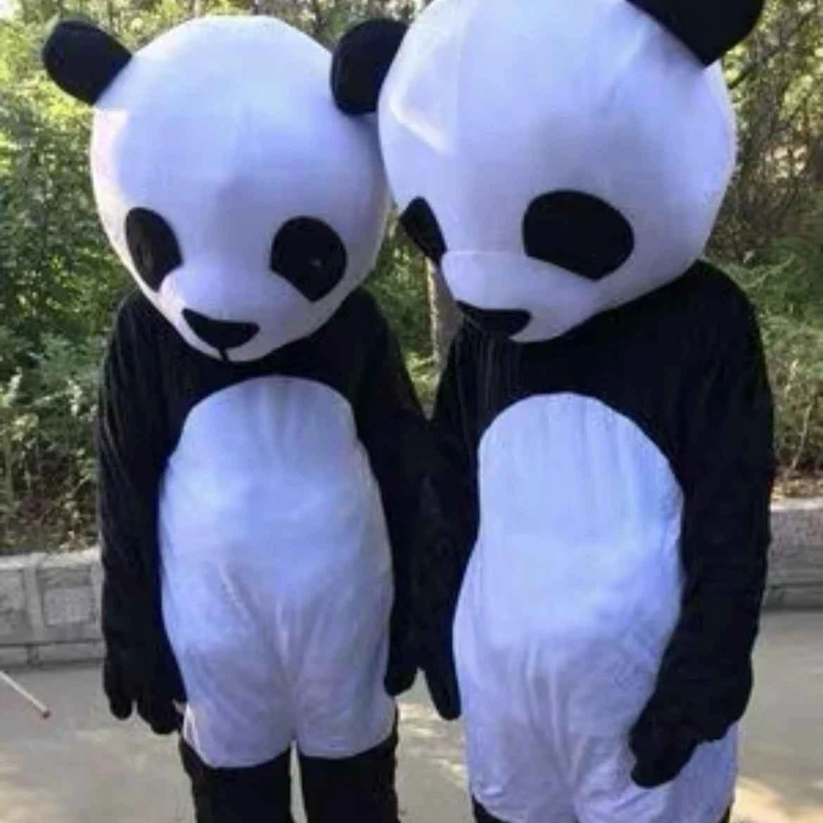 Cartoon Characters Adult Mascot / Costume