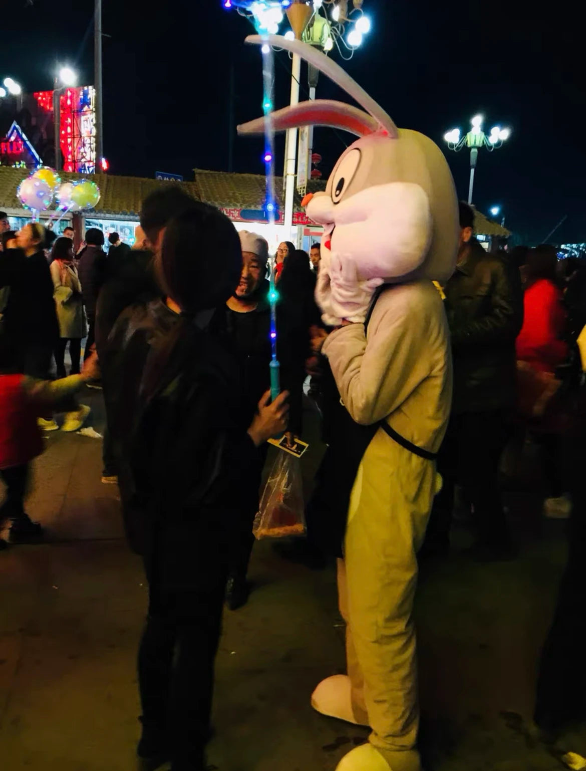 Cartoon Characters Adult Mascot / Costume