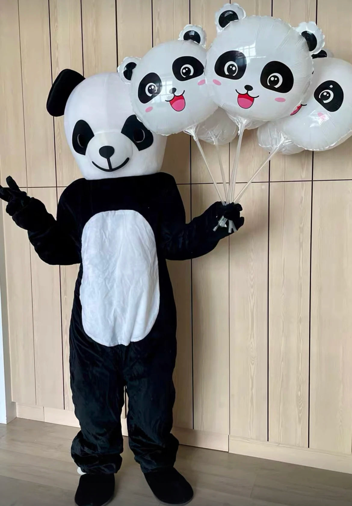 Cartoon Characters Adult Mascot / Costume