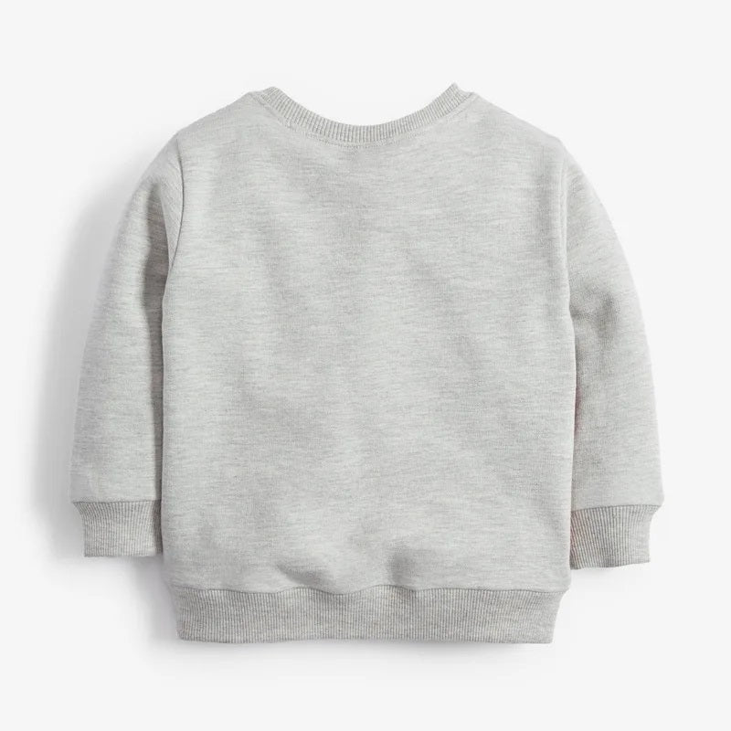 Boys Tiger Fleece Sweaters - itzy bitsy