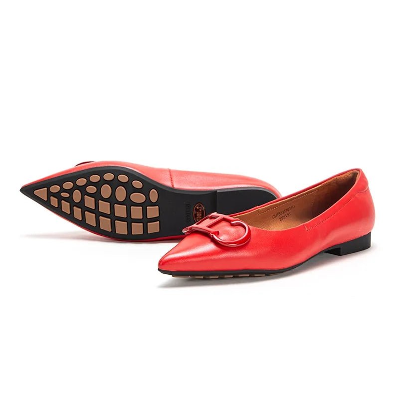 CH Pure Simple Women's Pointed Toe Flat Shoes - itzy bitsy