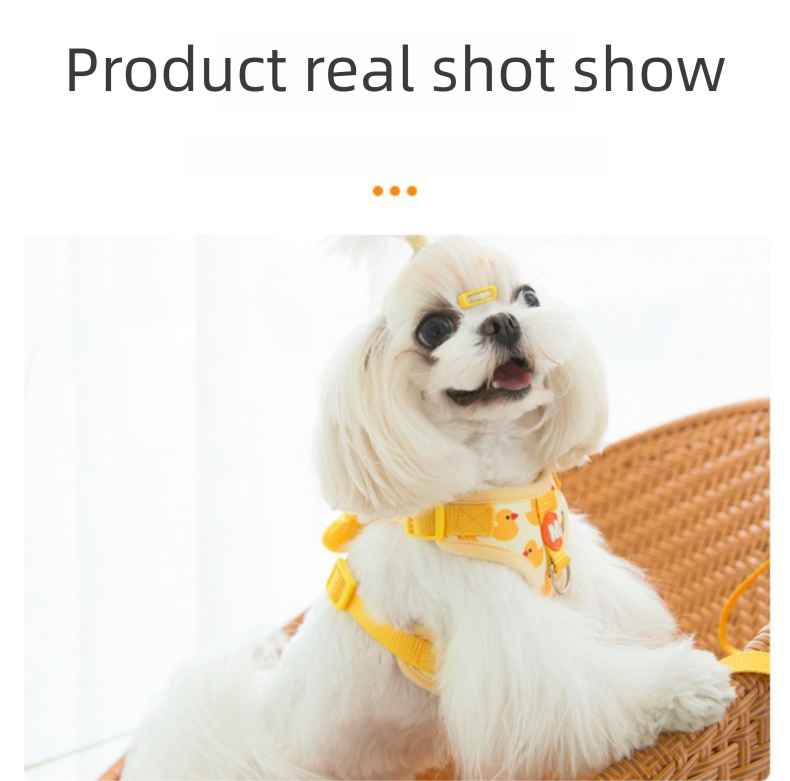 Pet Anti-break Free Chest Strap Traction Rope