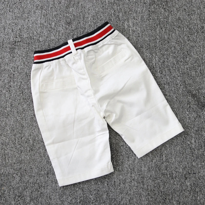 Gentlemen Summer Elegant Suit - itzy bitsy